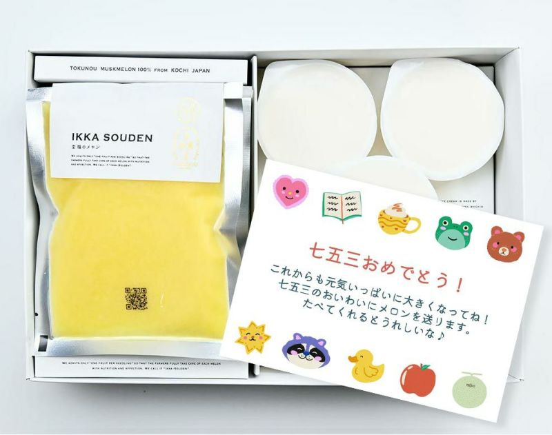 ［七五三限定］マスクメロンのピューレ5袋と高知のバニラアイス5個