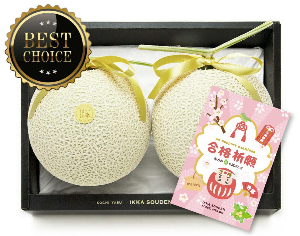 【上級品】合格祈願 マスクメロン2玉3.2kg以上