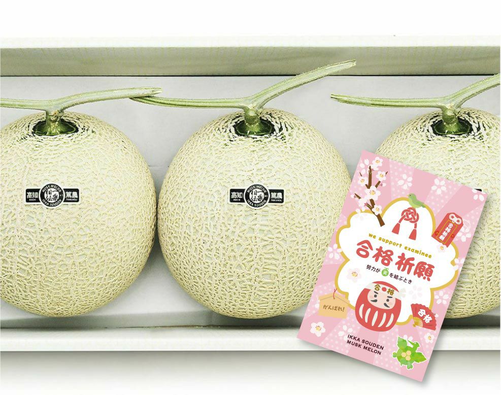 【良品】合格祈願 マスクメロン3玉4.5kg以上