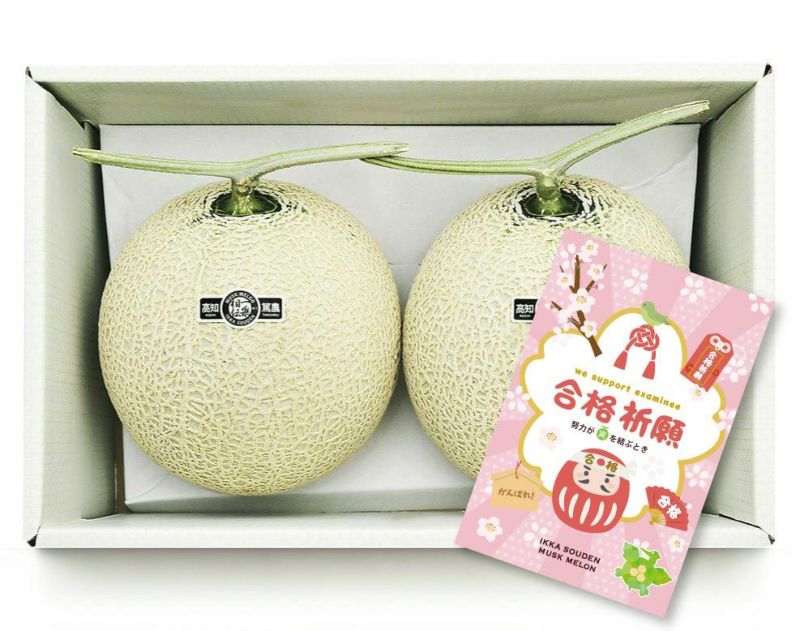 【良品】合格祈願 マスクメロン2玉3.2kg以上