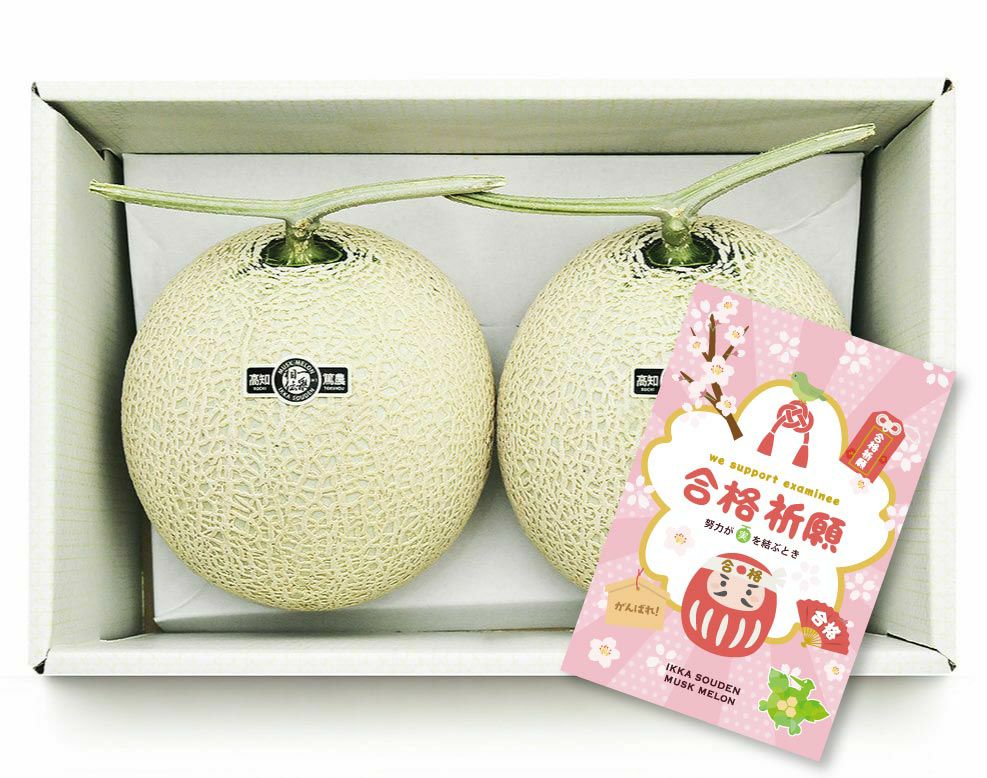 【良品】合格祈願 マスクメロン2玉3.2kg以上