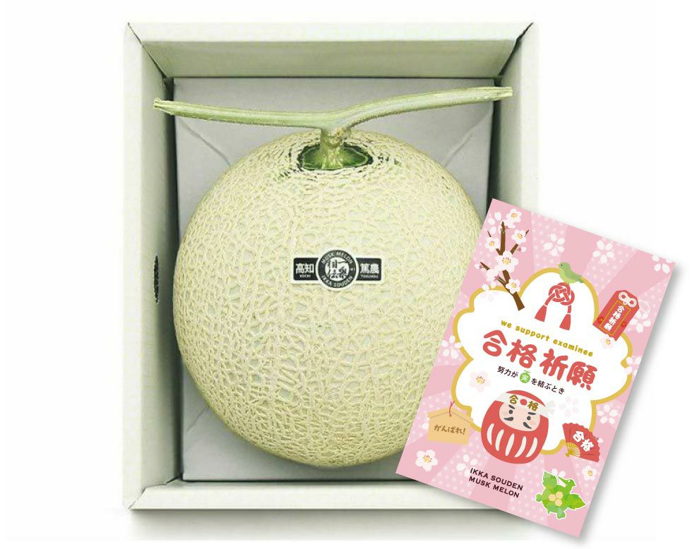 【良品】合格祈願 マスクメロン1玉1.4kg以上