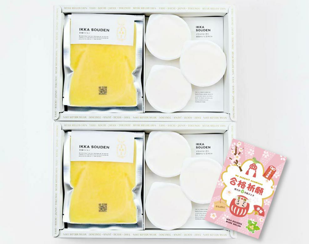 合格祈願 マスクメロンのピューレ3袋と高知のバニラアイス3個【2箱】