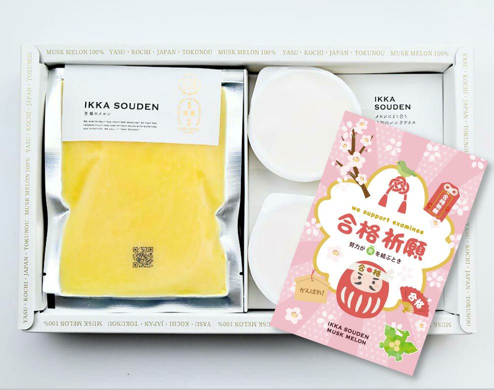 合格祈願 マスクメロンのピューレ3袋と高知のバニラアイス3個