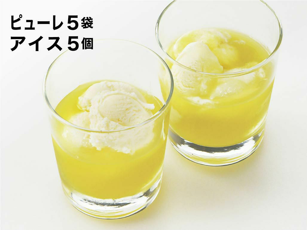 合格祈願 マスクメロンのピューレ5袋と高知のバニラアイス5個