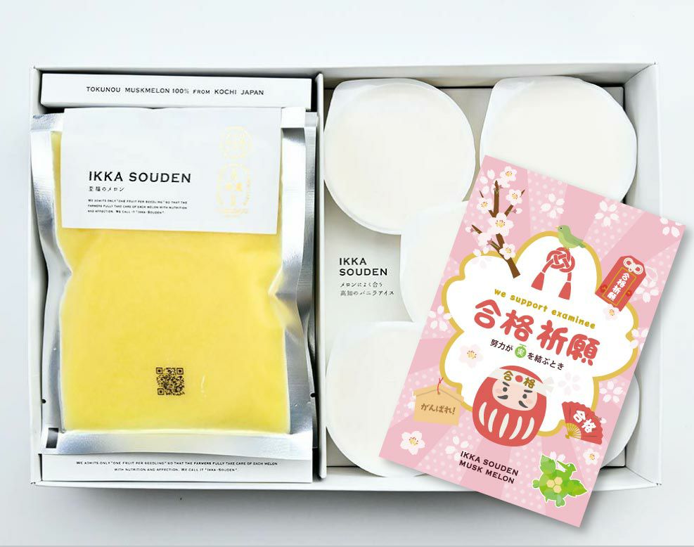 合格祈願 マスクメロンのピューレ5袋と高知のバニラアイス5個