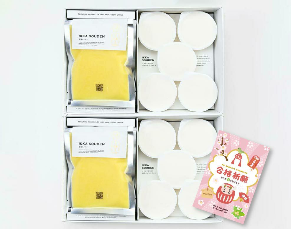 合格祈願 マスクメロンのピューレ5袋と高知のバニラアイス5個【2箱】