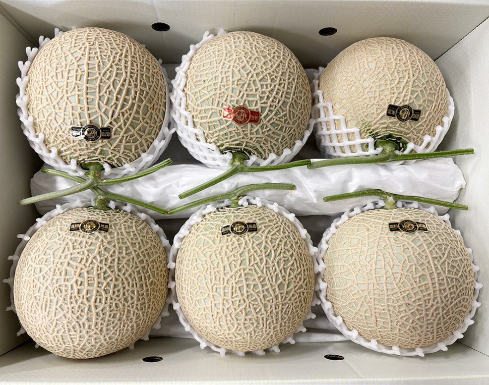 【ひとりじめメロン】紅一点 マスクメロン6玉7kg以上