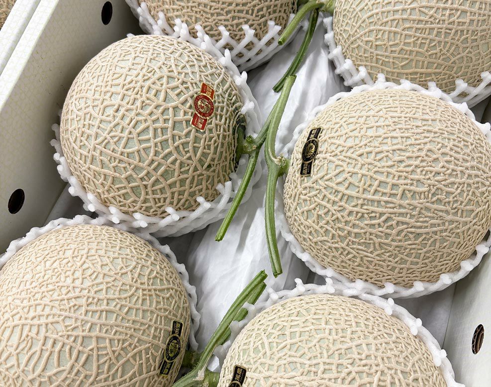 【ひとりじめメロン】紅一点 マスクメロン6玉7kg以上